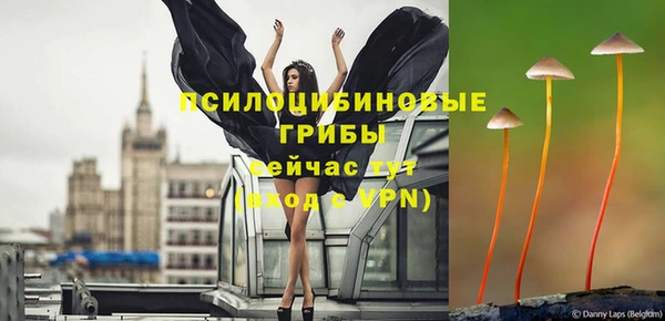эйфоретик Беломорск