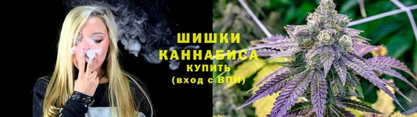 крисы Белокуриха