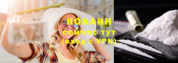 крисы Белокуриха