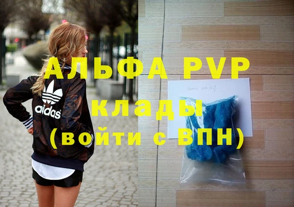 стафф Богданович