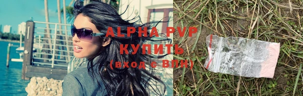 стафф Богданович