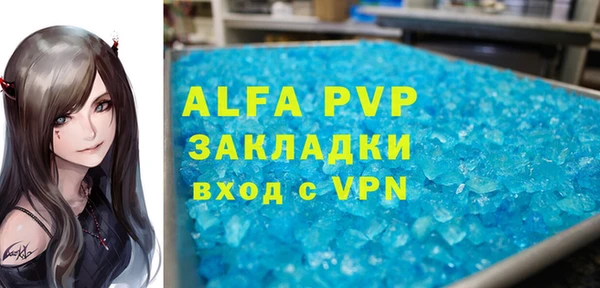 крисы Белокуриха