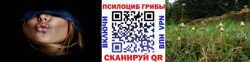 Псилоцибиновые грибы мицелий  магазин    Беслан 